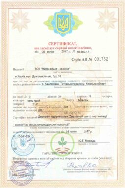 Миронівське насіння, Насіння високої якості, купити, Україна.