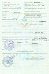 Мироновские семена, Семена высокого качества, купить, Украина.