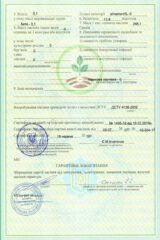 Мироновские семена, Семена высокого качества, купить, Украина.