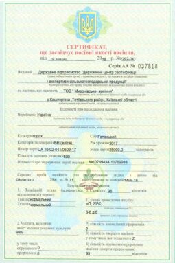 Миронівське насіння, Насіння високої якості, купити, Україна.