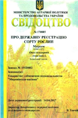 Миронівське насіння, Насіння високої якості, купити, Україна.
