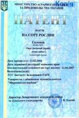 Мироновские семена, Семена высокого качества, купить, Украина.