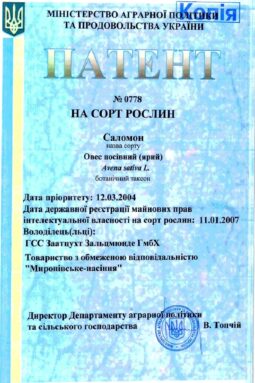 Миронівське насіння, Насіння високої якості, купити, Україна.