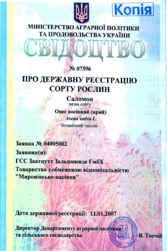 Миронівське насіння, Насіння високої якості, купити, Україна.