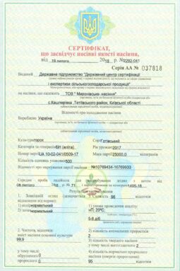 Миронівське насіння, Насіння високої якості, купити, Україна.