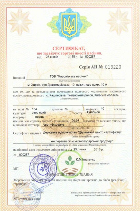 Миронівське насіння, Насіння високої якості, купити, Україна.