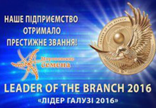Миронівське насіння, Насіння високої якості, купити, Україна.