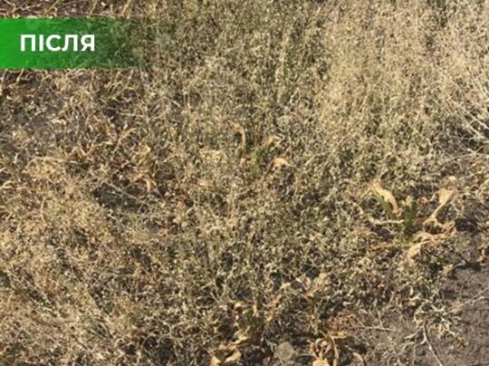 Біогербіцид суцільної дії не токсичний, Купити, Україна.