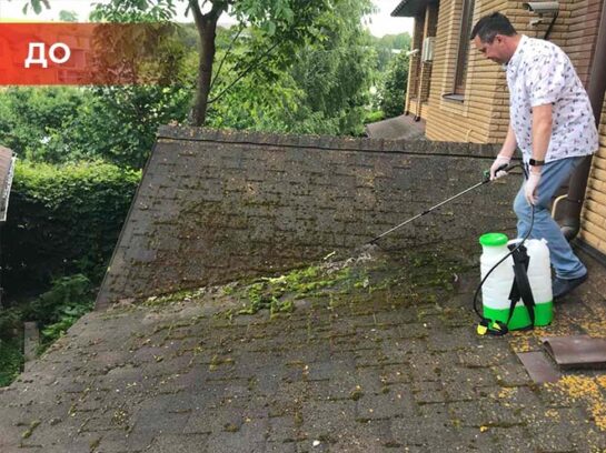 Биогербицид Weed Killer