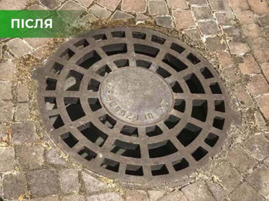 Біогербіцид суцільної дії не токсичний, Купити, Україна.