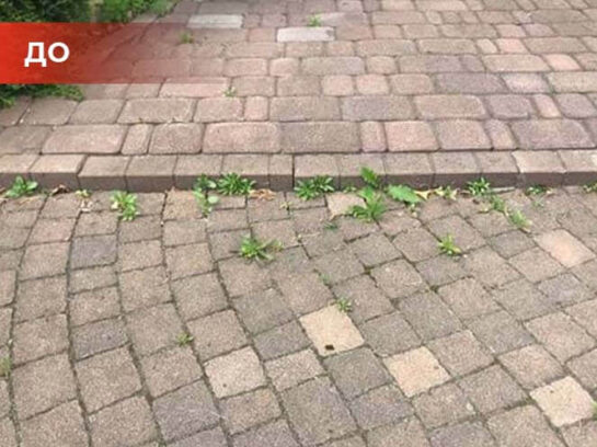 Биогербицид Weed Killer