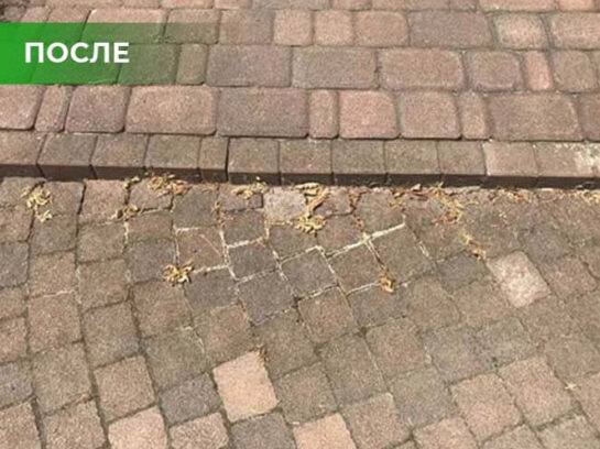 Биогербицид Weed Killer