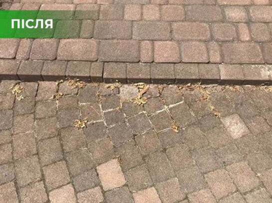 Біогербіцид суцільної дії не токсичний, Купити, Україна.