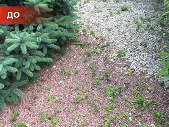 Биогербицид Weed Killer