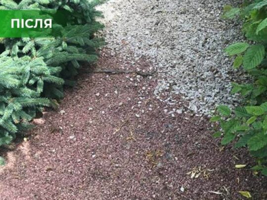 Біогербіцид суцільної дії не токсичний, Купити, Україна.