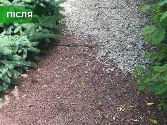 Біогербіцид суцільної дії не токсичний, Купити, Україна.