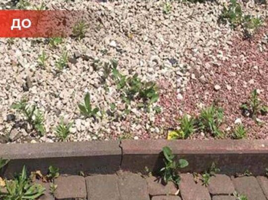 Биогербицид Weed Killer