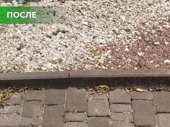 Биогербицид Weed Killer