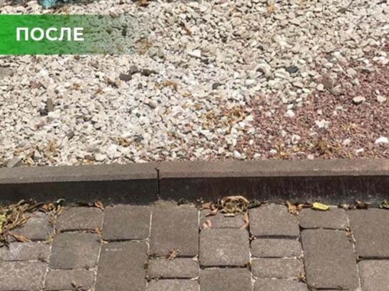 Биогербицид Weed Killer
