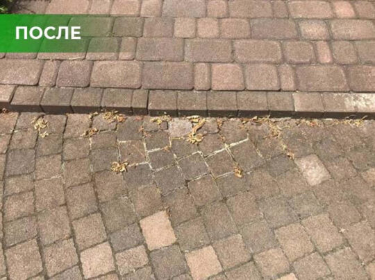 Биогербицид Weed Killer