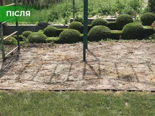 Біогербіцид суцільної дії не токсичний, Купити, Україна.