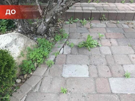 Биогербицид Weed Killer