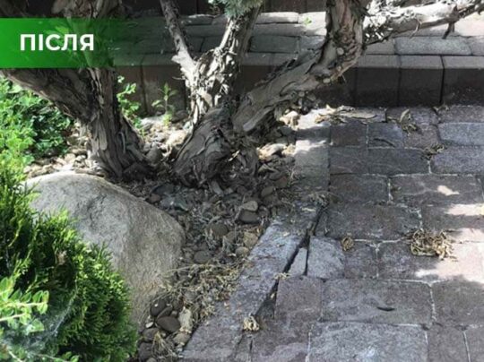 Біогербіцид суцільної дії не токсичний, Купити, Україна.